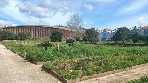 Orto Botanico