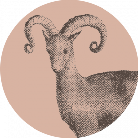 Veterinaria