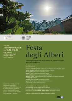 Festa degli alberi