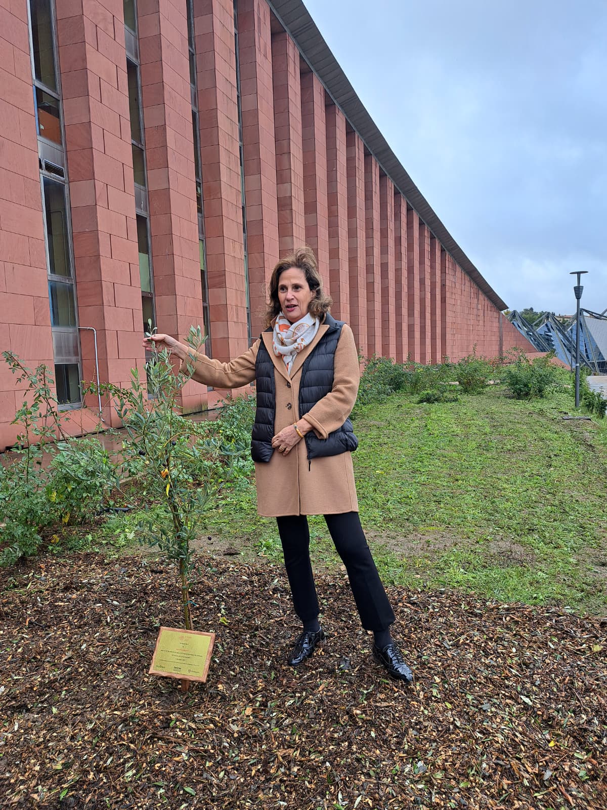 Ilaria Capua pinatuma l'ulivo WeTree nell'orto botanico Uniss