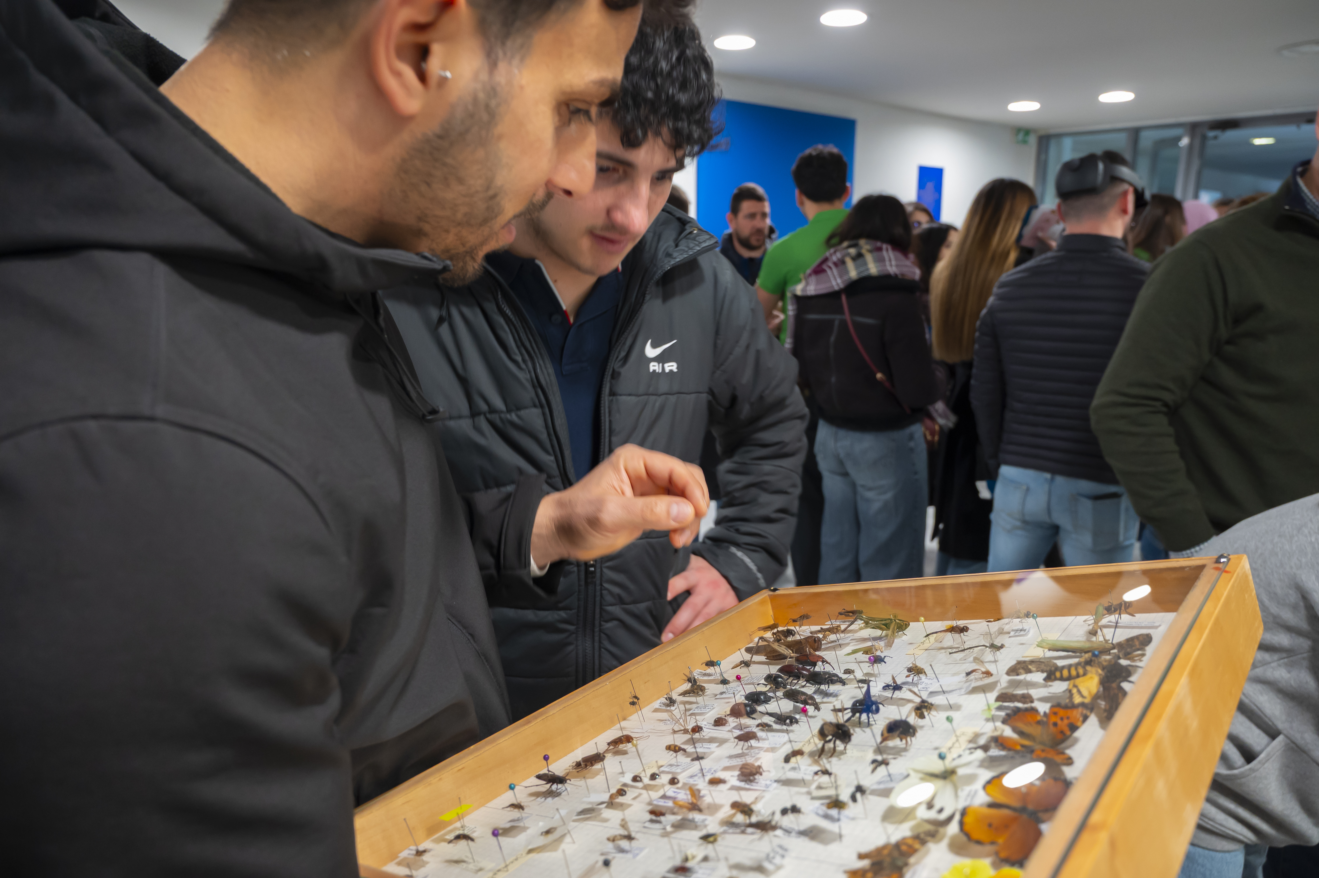 Studenti visitano uno stand di scienze naturali UNISS e osservano da vicino una teca con insetti e farfalle durante l’evento di orientamento.