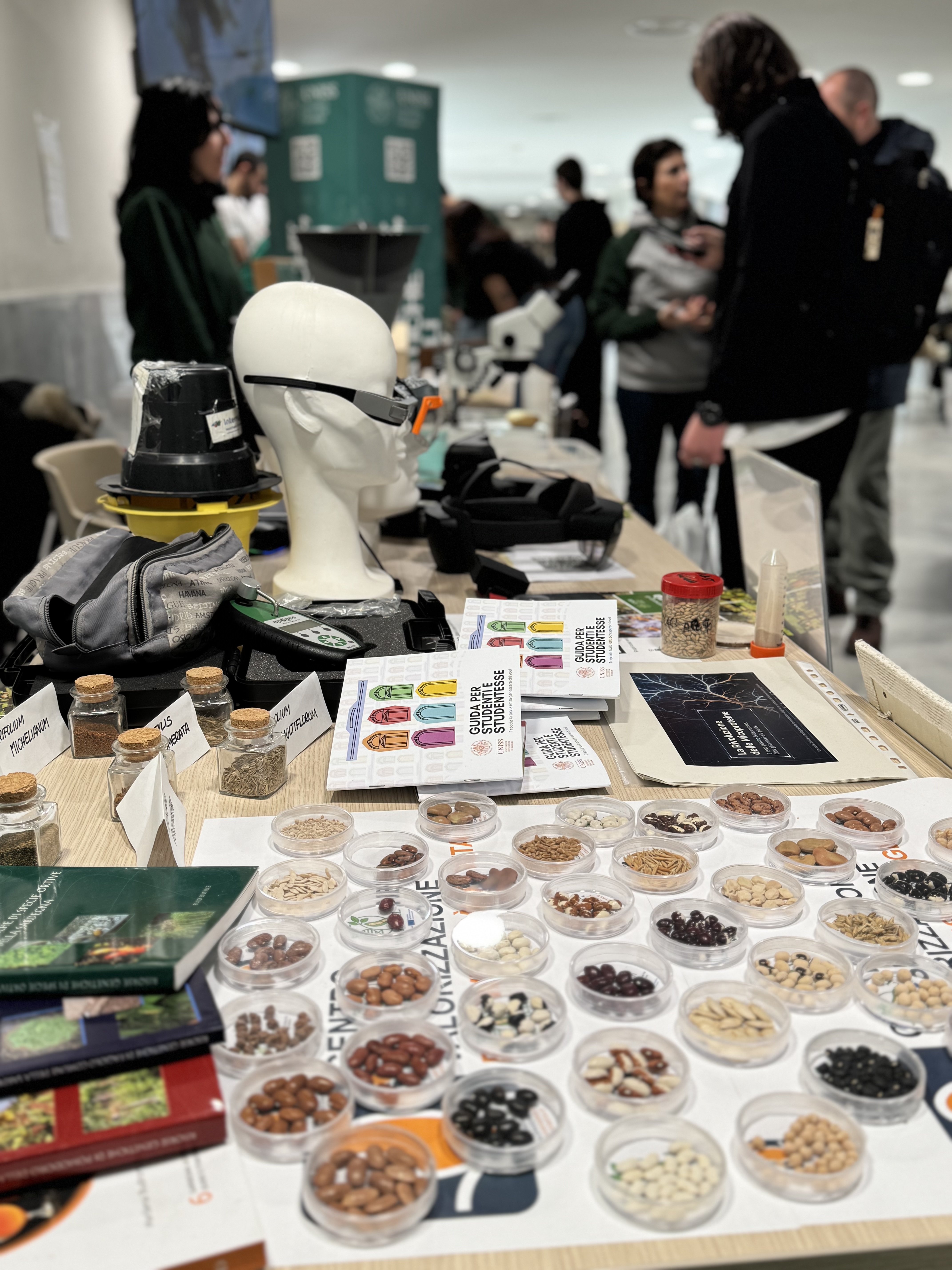 Stand tematico UNISS con semi, materiali didattici e strumenti scientifici, dedicato alla divulgazione e all’orientamento degli studenti