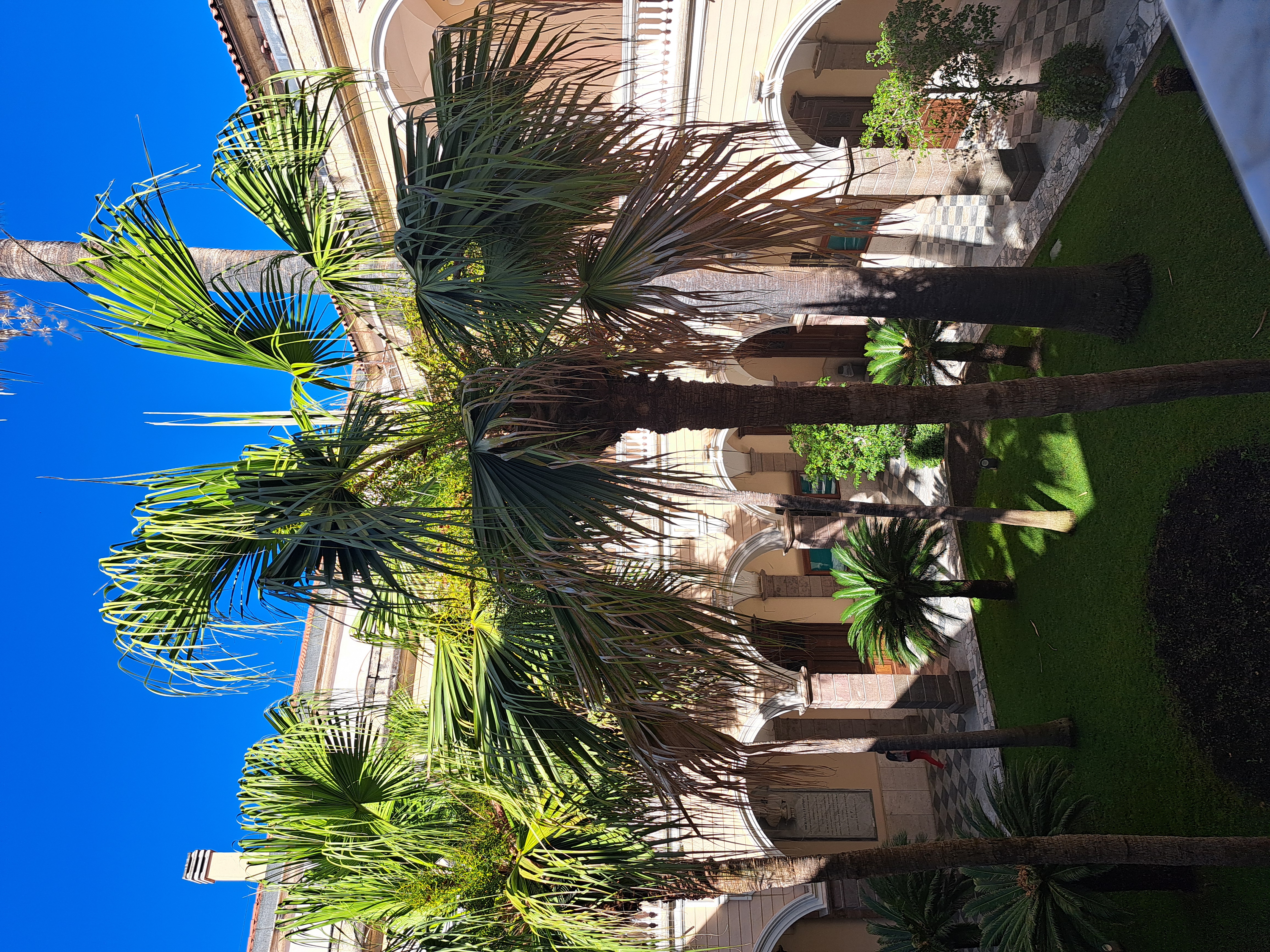 Università