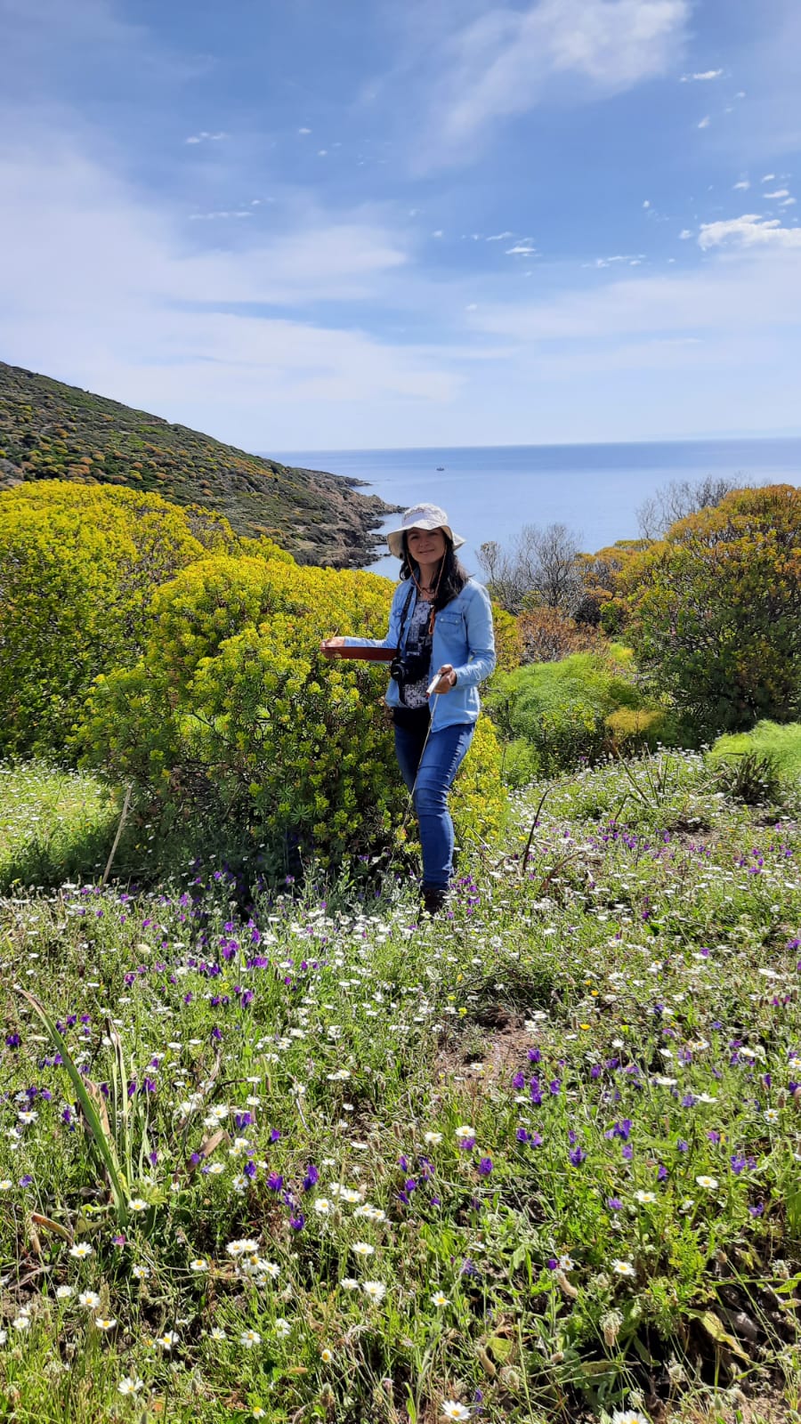 Paulo lozano thesis 03 image