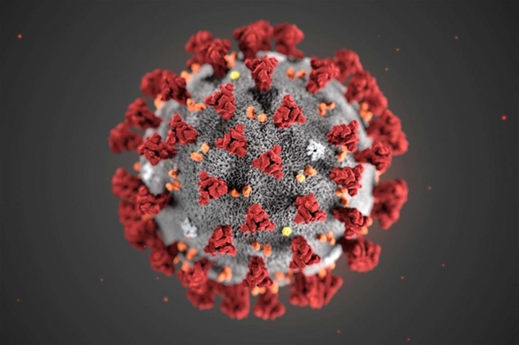 Risultato immagini per Coronavirus immagini