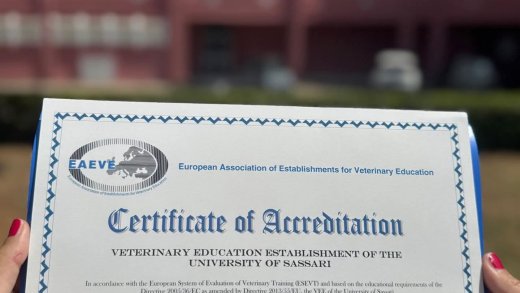 Certificato EAEVE Accreditamento vetsassari