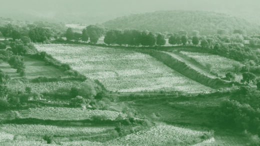 Agraria 80 anni