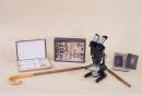 Collezione Entomologica