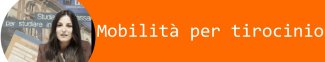 Banner mobilità tirocinio