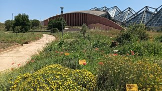 Primavera all'orto botanico