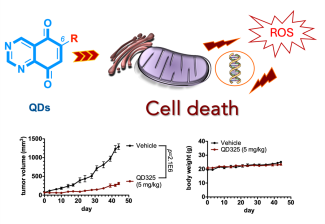 small molecule