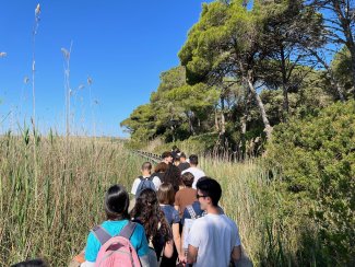 platamona
