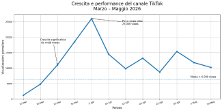 Crescita e performance del canale Tik Tok