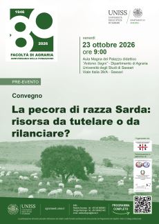 La pecora di razza sarda