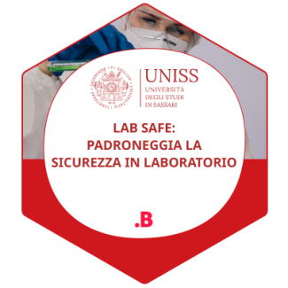 LAB SAFE BADGE