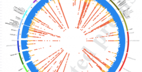 Immagine tratta dall'articolo di Francesco Cucca su Nature Genetics_2_14 settembre 2020 Immagine tratta dall'articolo di Francesco Cucca su Nature Genetics_2_14 settembre 2020