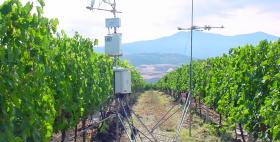 Strumentazioni in campo_Progetto Ga_Vino (Agraria Uniss) Strumentazioni in campo_Progetto Ga_Vino (Agraria Uniss)