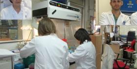 Gruppo di ricerca "Viruses", Università di Sassari Gruppo di ricerca "Viruses", Università di Sassari