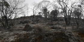 fuoco