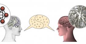 ANNABELL, modello cognitivo formato da neuroni artificiali ANNABELL, modello cognitivo formato da neuroni artificiali