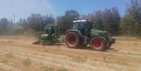 Arborea_progetto SemForSar Uniss Arborea_progetto SemForSar Uniss