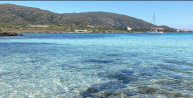 Foto Asinara Mare cristallino dell'isola dell'Asinara