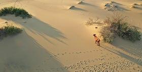 foto deserto deserto