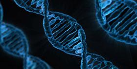 Immagine dna Immagine dna