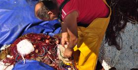 Pesca artigianale_Isola dell&#039;Asinara_uniss