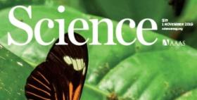 La copertina della rivista Science La copertina della rivista Science