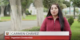 Anita Chavez Anita Chavez