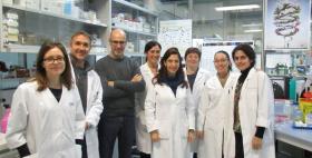 Da sinistra Magda Niegowska, Giuseppe Mameli, Leonardo Sechi, Daniela Paccagnini, Giannina Arru, Elisa caggiu, Vida Eraghi Da sinistra Magda Niegowska, Giuseppe Mameli, Leonardo Sechi, Daniela Paccagnini, Giannina Arru, Elisa caggiu, Vida Eraghi