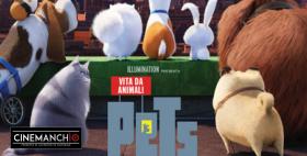 Film Pets_Locandina SSF 2018 Film Pets_Locandina SSF 2018
