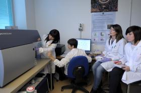 Dipartimento di Scienze Chirurgiche, Microchirurgiche e Mediche Dipartimento di Scienze Chirurgiche, Microchirurgiche e Mediche