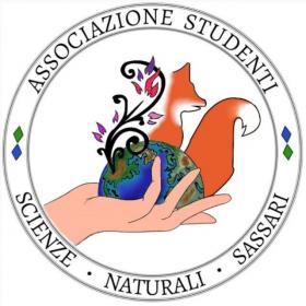 Logo SNS