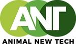 Ant