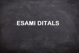 esami-ditals