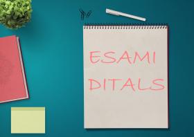 esami-ditals