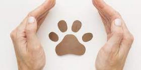BENESSERE ANIMALE