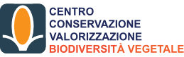 Logo CBV Logo CBV