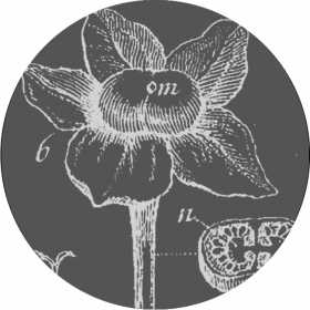 Botanica Generale Botanica Generale