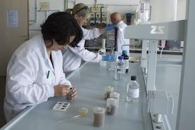 Dipartimento di Scienze Mediche, Chirurgiche e Sperimentali. Dipartimento di Scienze Mediche, Chirurgiche e Sperimentali.