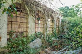 orto botanico