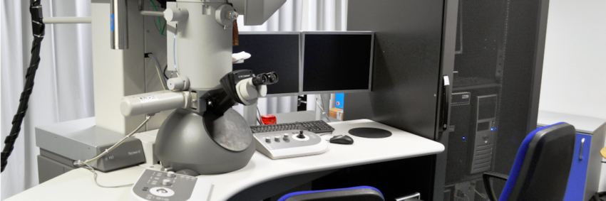 Microscopio Elettronico a Trasmissione Microscopio Elettronico a Trasmissione