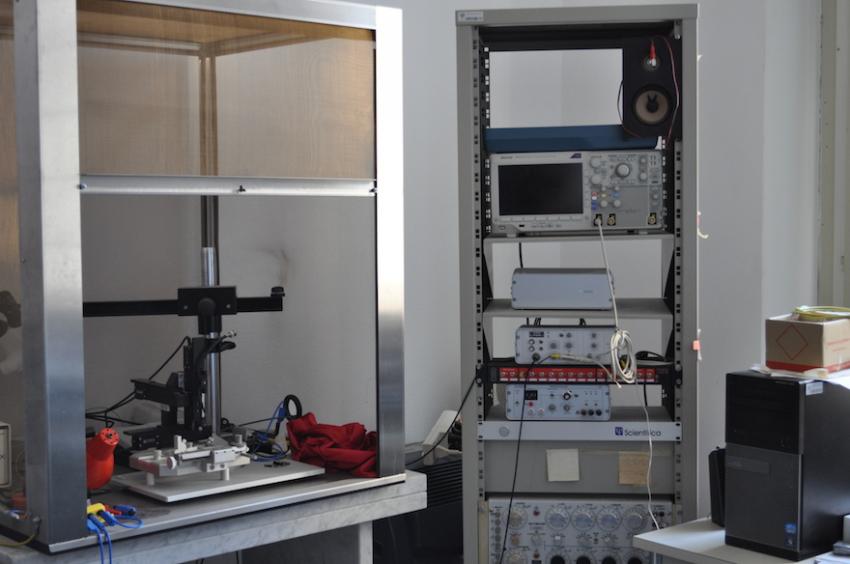 Set-up electrofisiologia ‘in vivo’ Set-up electrofisiologia ‘in vivo’